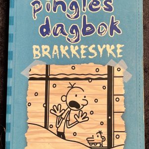 Bok: “En pingles dagbok – Brakkesyke”